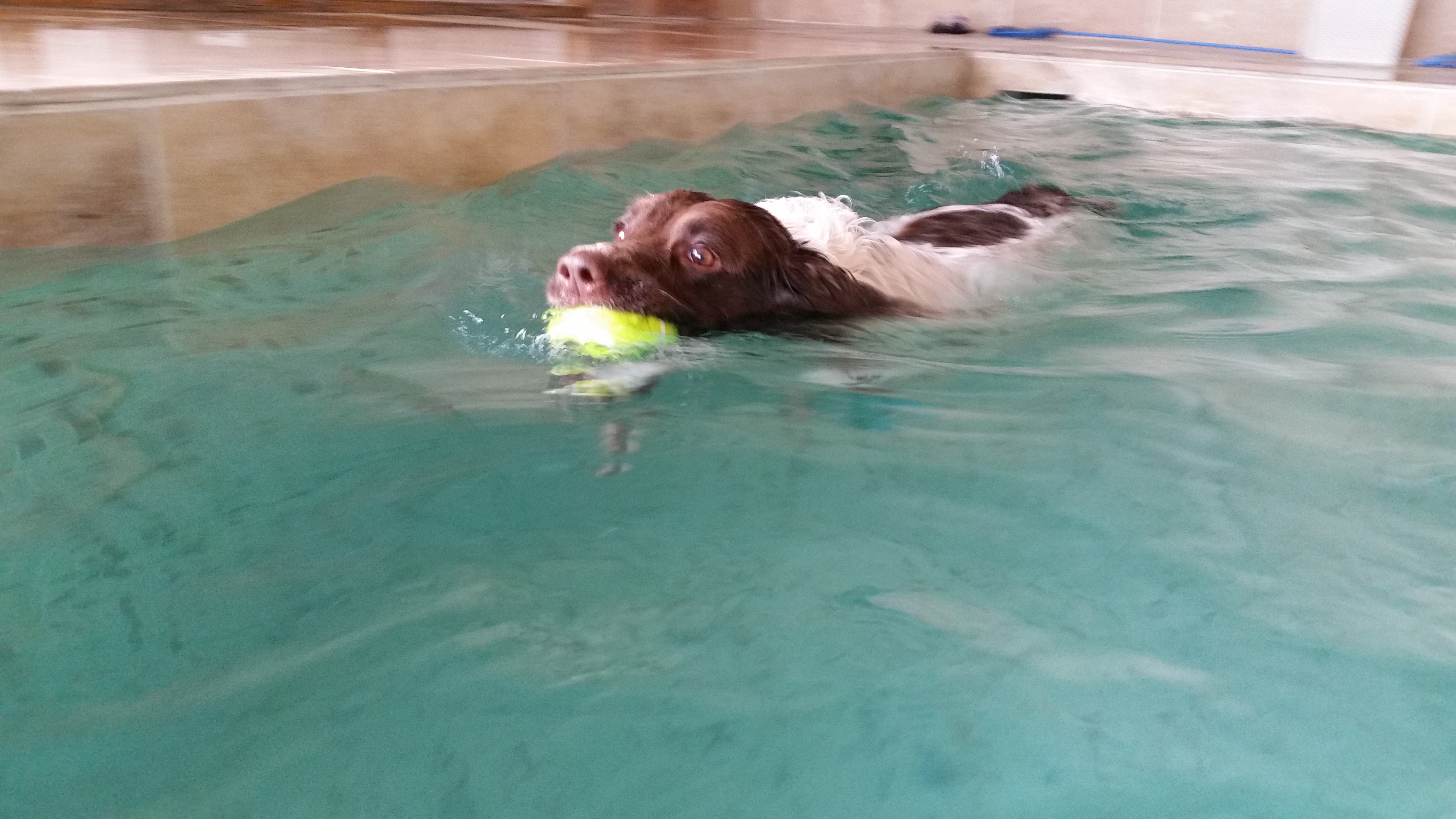 Hydrotherapy