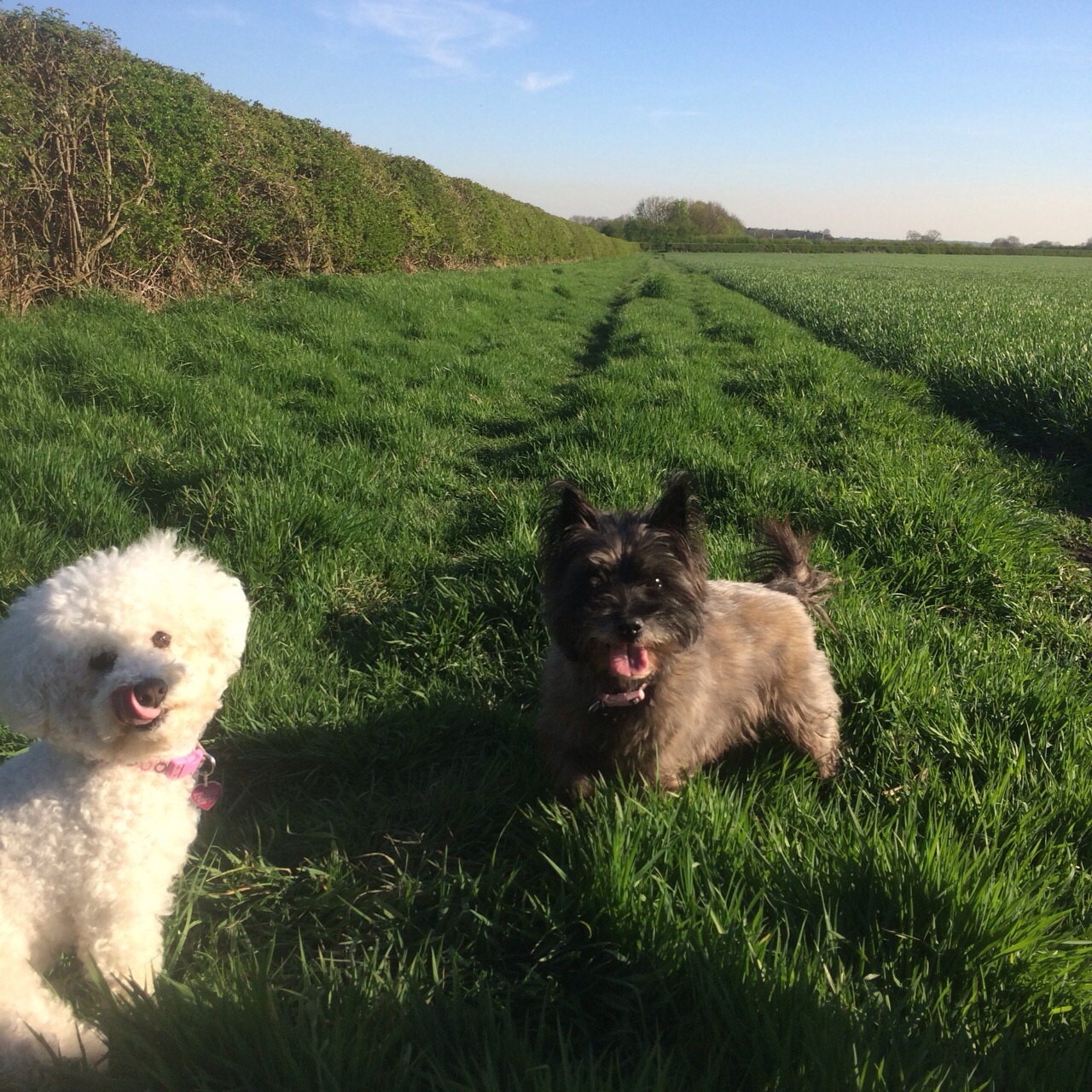 Roxy & Millie